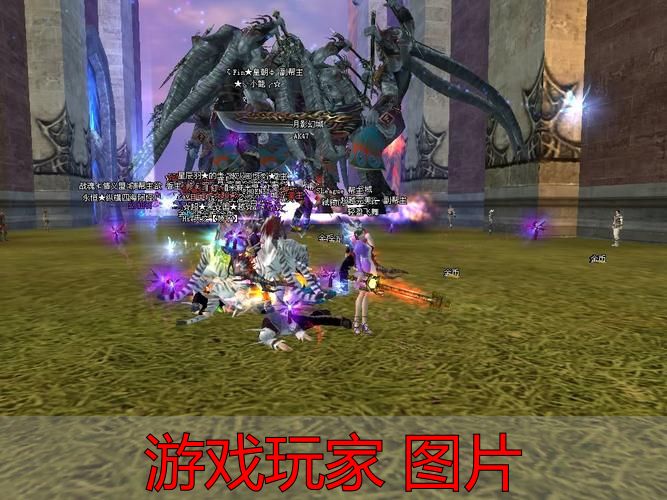完美世界游戏高清角色立绘壁纸_完美国际私服战斗截图获取技巧_游戏玩家 图片