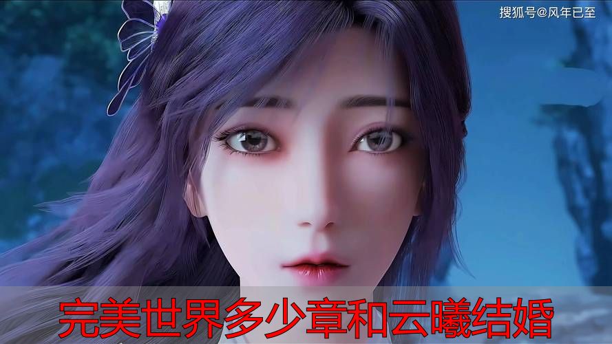完美世界石昊云曦的婚姻本质_石昊和云曦在哪一章节结婚_完美世界多少章和云曦结婚