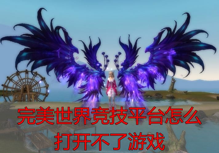 完美世界私服竞技平台打不开游戏？解决方法和私服攻略
