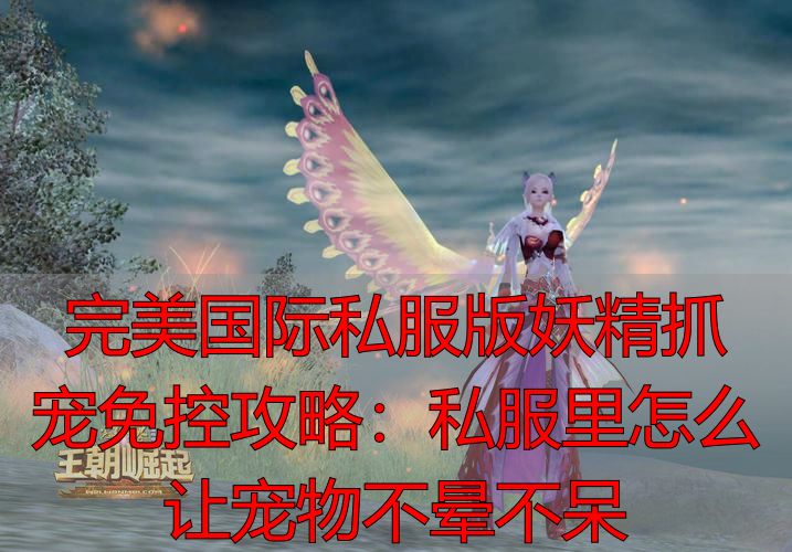 完美世界国际版妖精抓宠免疫_私服宠物抗性修改对抓宠的影响_完美世界国际版妖精抓宠物免疫