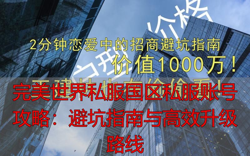 完美世界私服国区私服账号攻略：避坑指南与高效升级路线