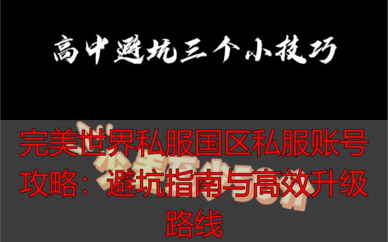完美世界私服国区私服账号攻略：避坑指南与高效升级路线