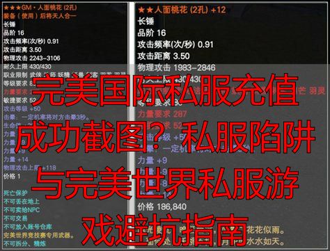 完美国际私服充值成功截图？私服陷阱与完美世界私服游戏避坑指南