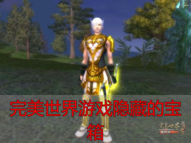完美国际私服隐藏宝箱奖励_完美世界游戏隐藏的宝箱_完美世界国际版隐藏宝箱坐标