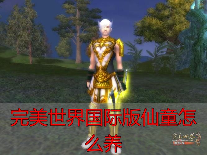 完美国际私服仙童底层逻辑_完美世界国际版仙童怎么养_完美世界国际版私服仙童养成